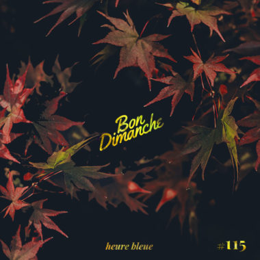 cover bon dimanche automne 115