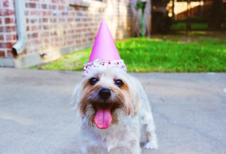 Anniversaire Heure Bleue