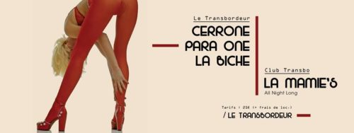 cerrone-para-one-la-biche-la-mamies-all-night-long