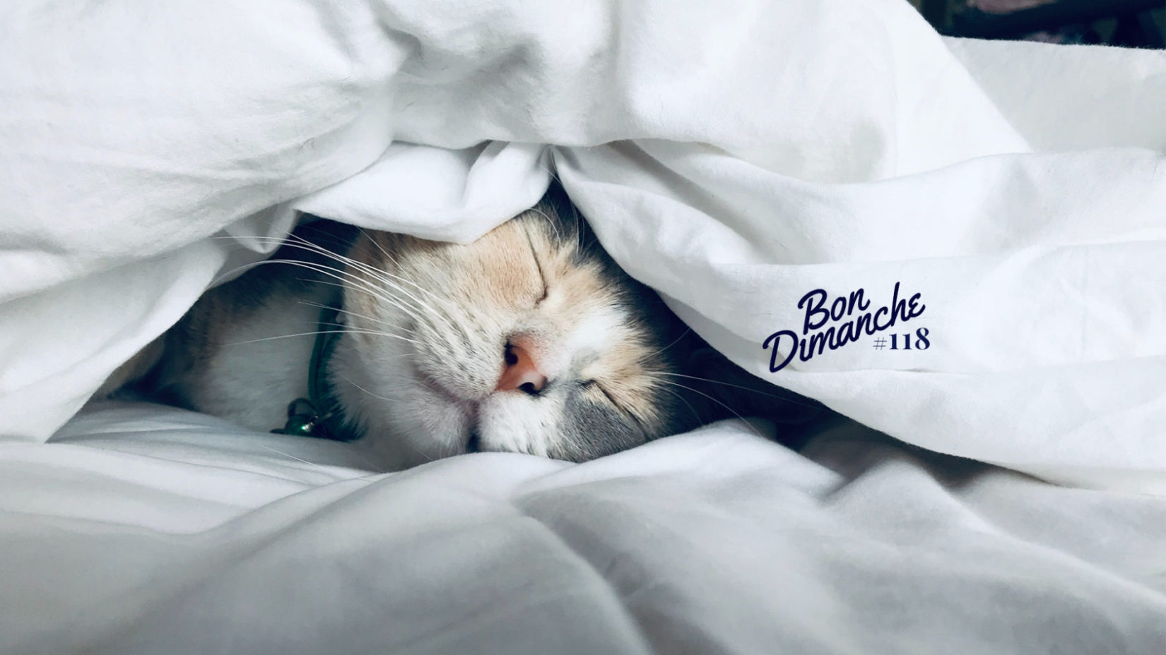 cover bon dimanche playlist 118