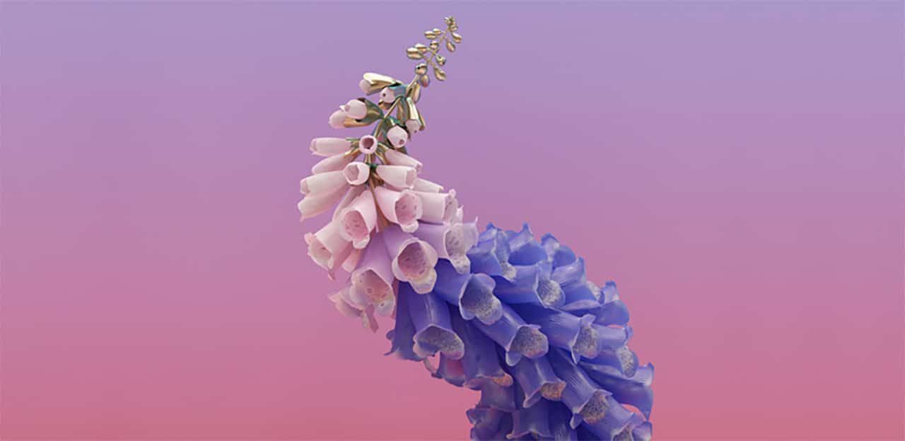 cover album skin flume