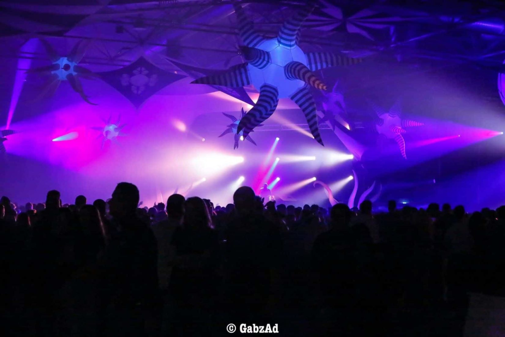 scene hypnotik