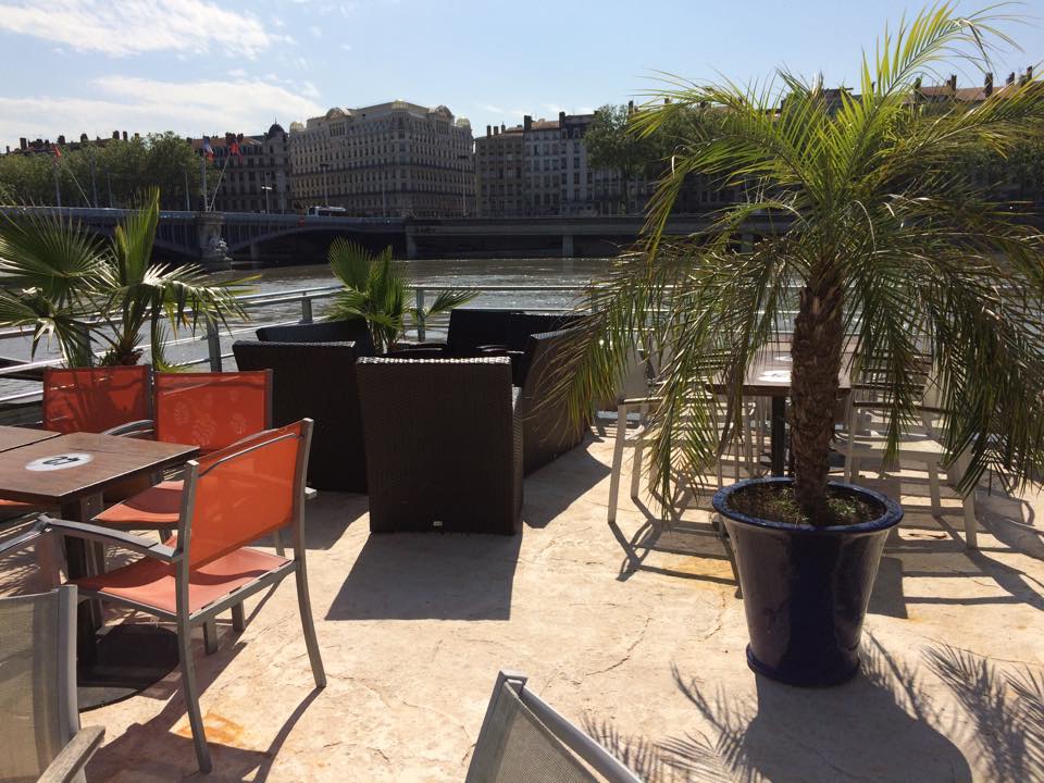 la barge terrasse palmier